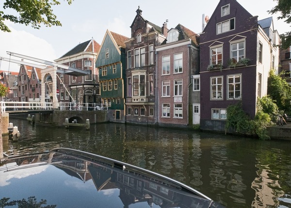 ongediertebestrijding alkmaar
