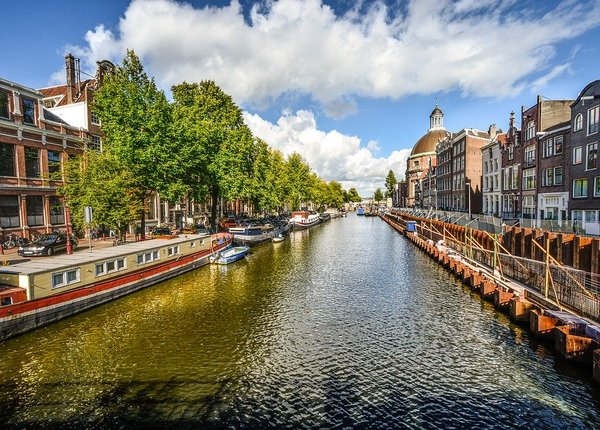 Amsterdam ongediertebestrijding dierplaagbeheersing attack