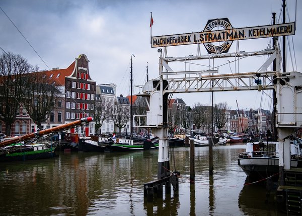 Ongediertebestrijding Dordrecht attack