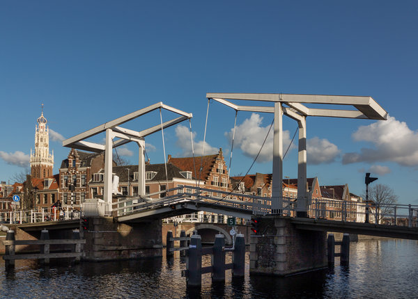 Haarlem ongediertebestrijding dierplaagbeheersing attack