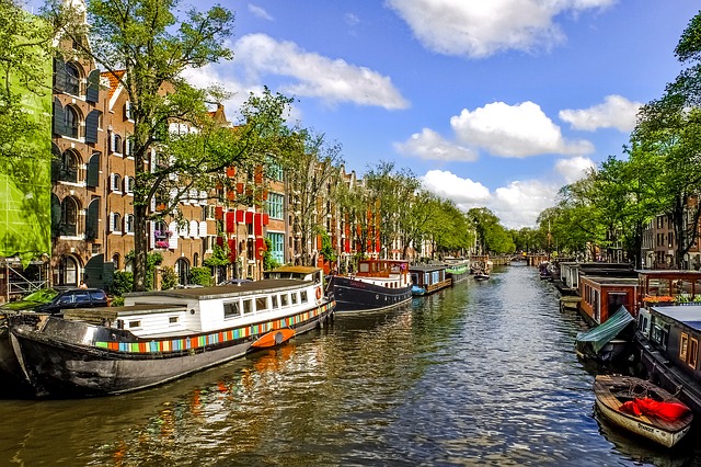Ongediertebestrijding amsterdam