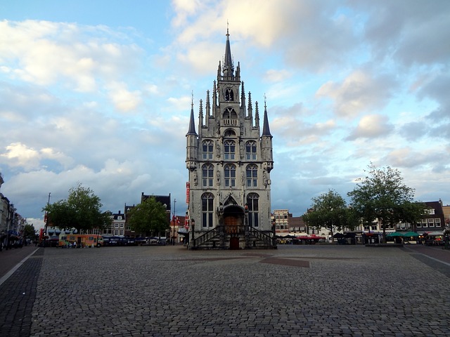 Ongediertebestrijding gouda