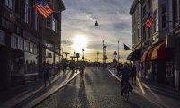 Ongediertebestrijding Maastricht