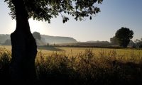 ongediertebestrijding sittard limburg