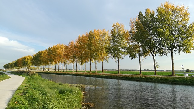 Nederrijn gelderland ongediertebestrijding Neder-betuwe
