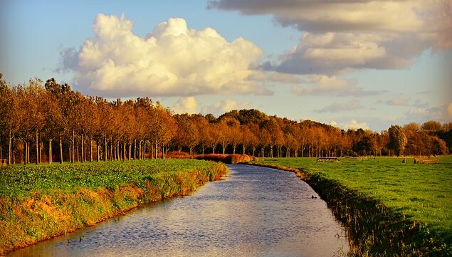 Neder-Betuwe ongediertebestrijding kesteren