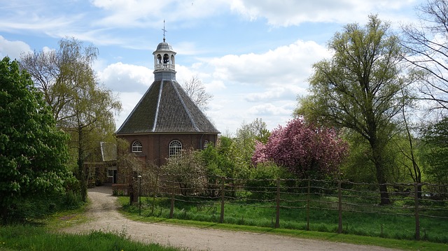 Neder betuwe ongediertebestrijding ingen