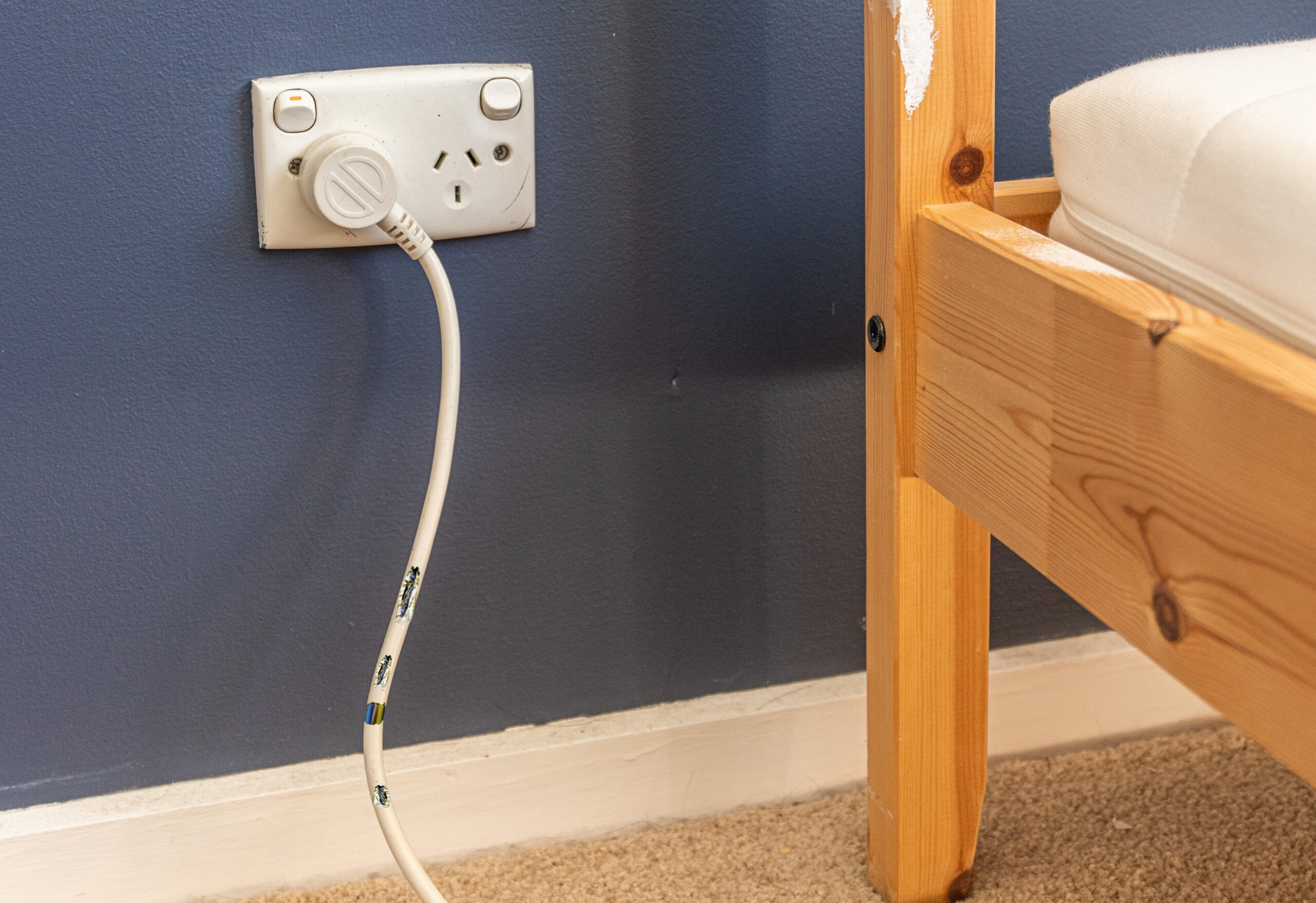 knaagschade kabel ratten